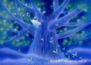 点击查看原图