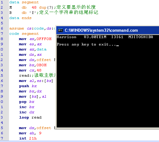 图片载入中
