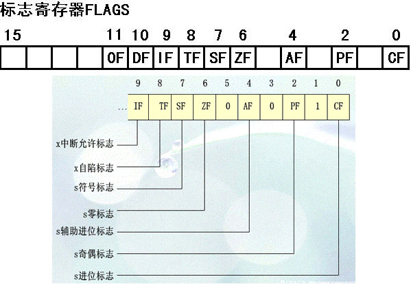 图片载入中
