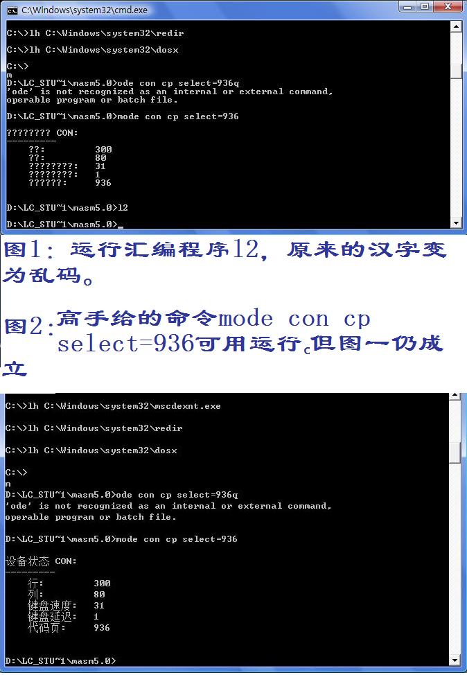 图片载入中