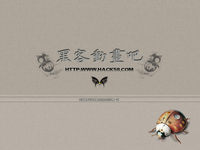 图片载入中