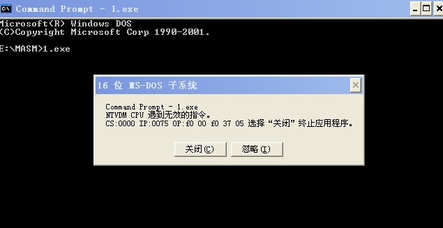 图片载入中